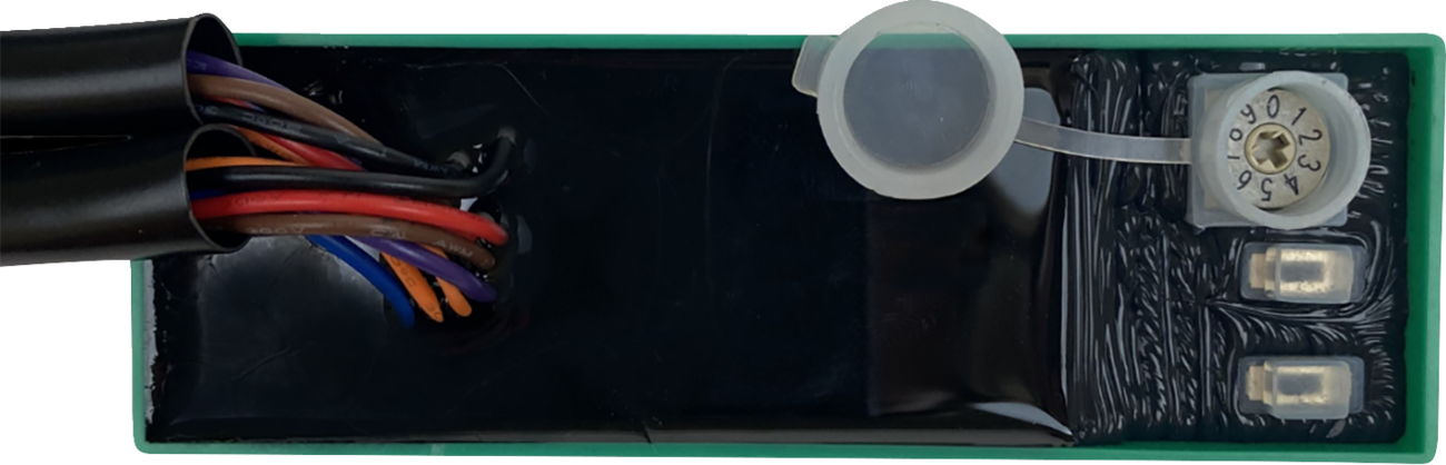 Custom Dynamics Smart Triple Play® Signal Conversion Module |