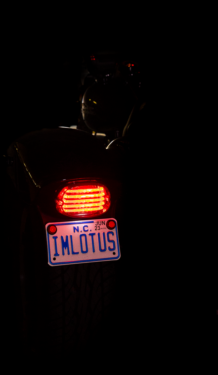 Custom Dynamics Probeam® Taillight - With License Plate Illumination Window - Smoke |