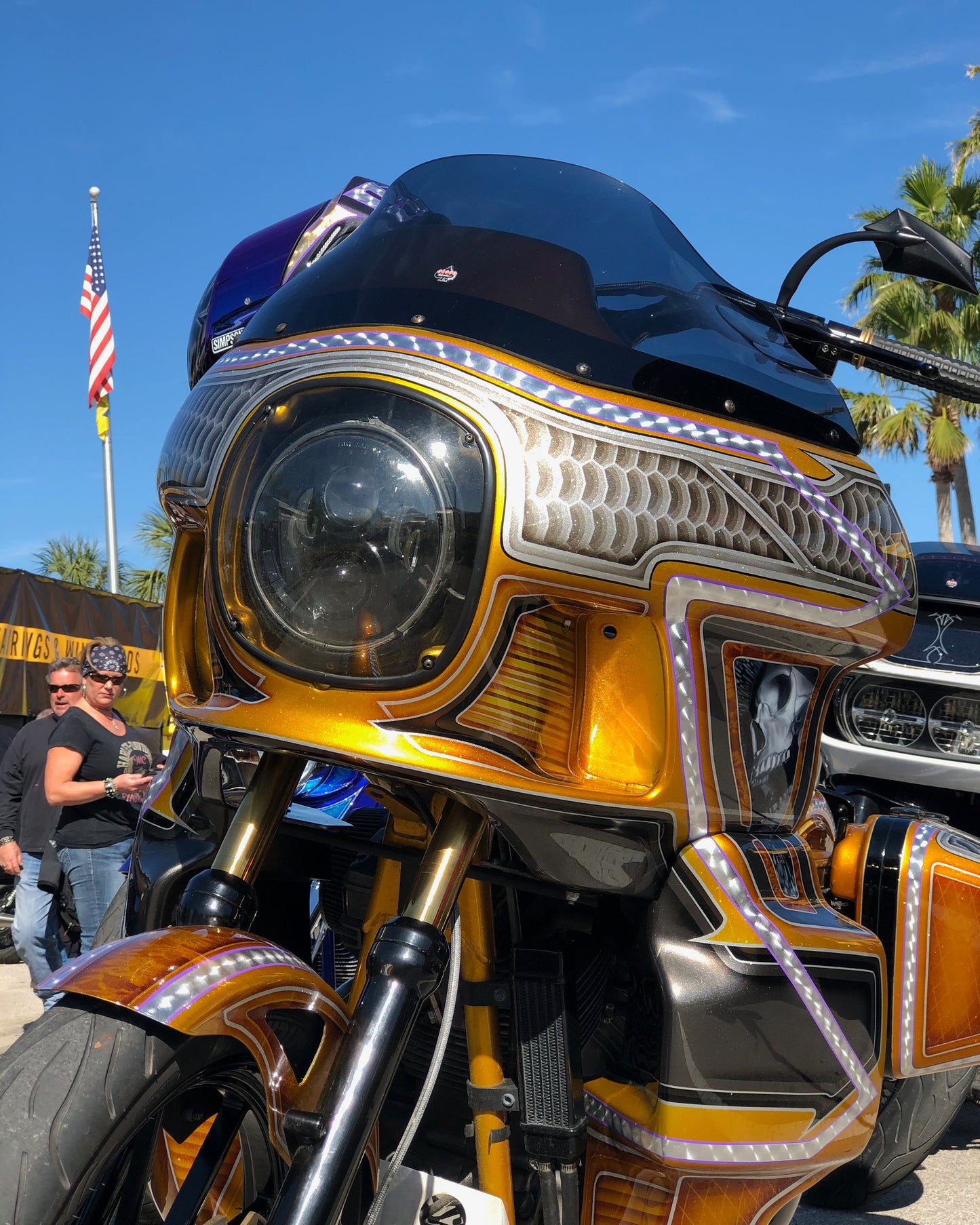 Arlen Ness Big Brake Jagged Floating Rotor Kit - 15" - Fxlr