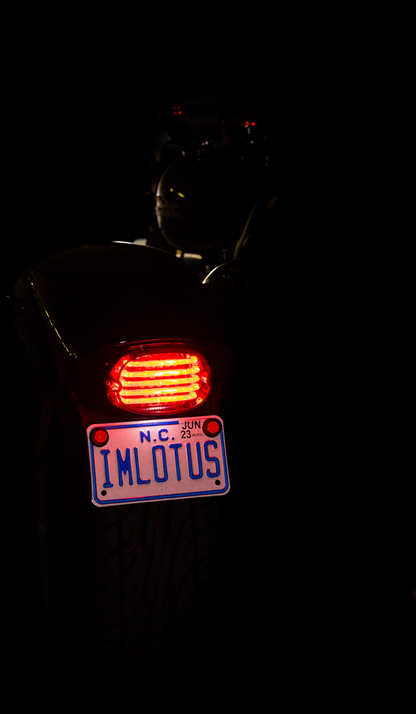 Custom Dynamics Probeam® Taillight - With License Plate Illumination Window - Smoke |