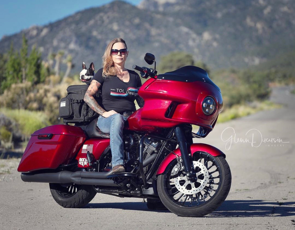 Arlen Ness Big Brake Jagged Floating Rotor Kit - 15" - Fxlr