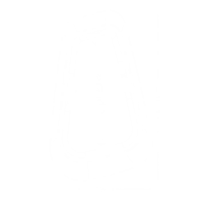 Cardo Systems Spirit Hd